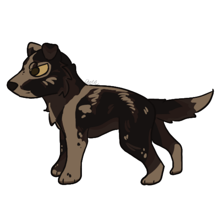 fullbody