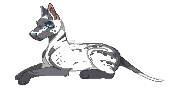 pixel