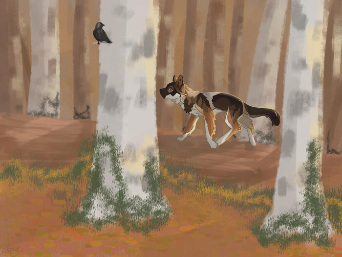 scene